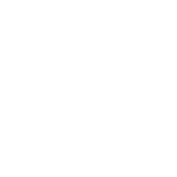 Aviatica
